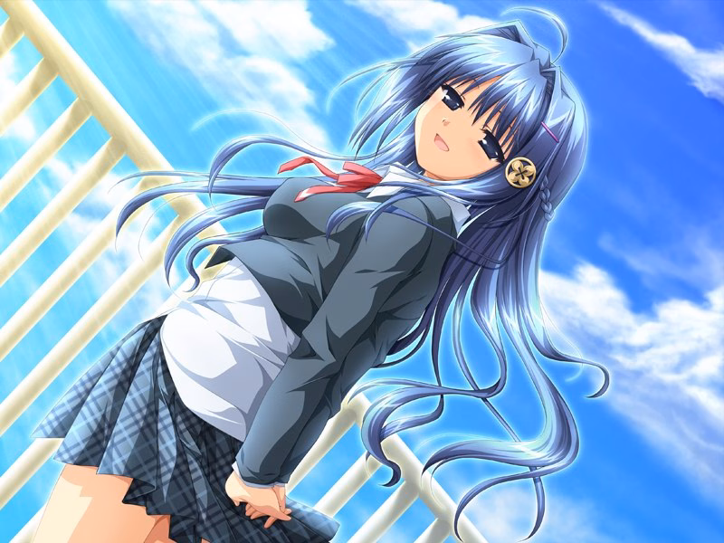 ev_miou_06