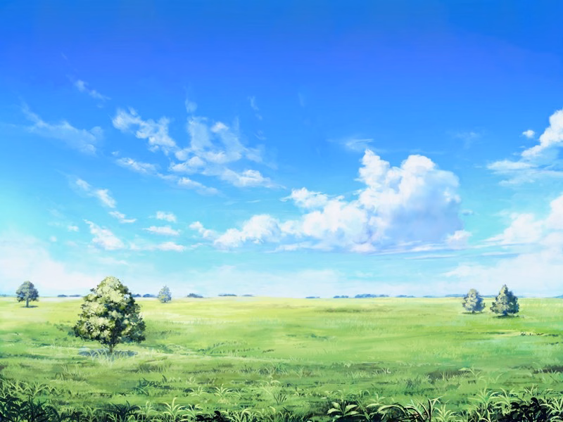 153_bg_003