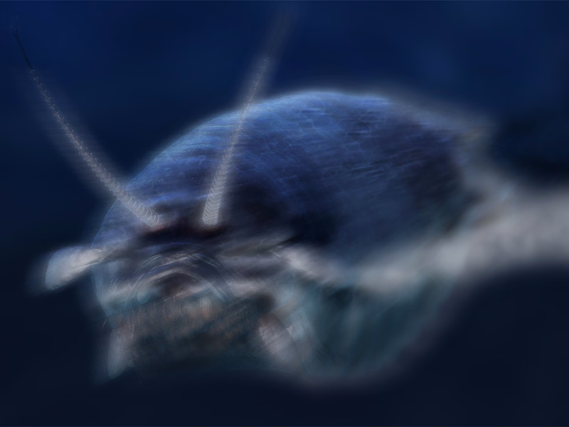 0850