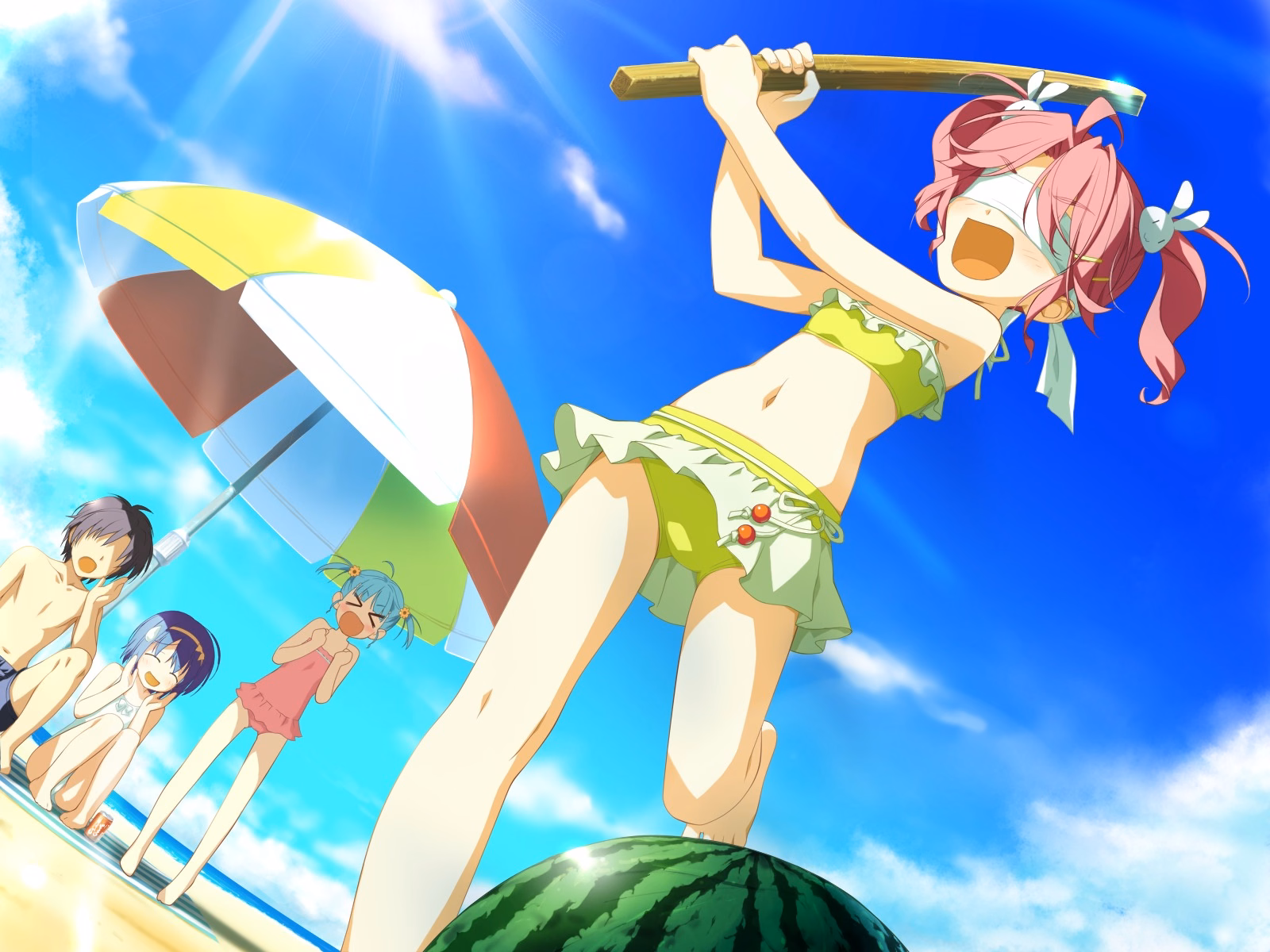 TINAMI_e02f