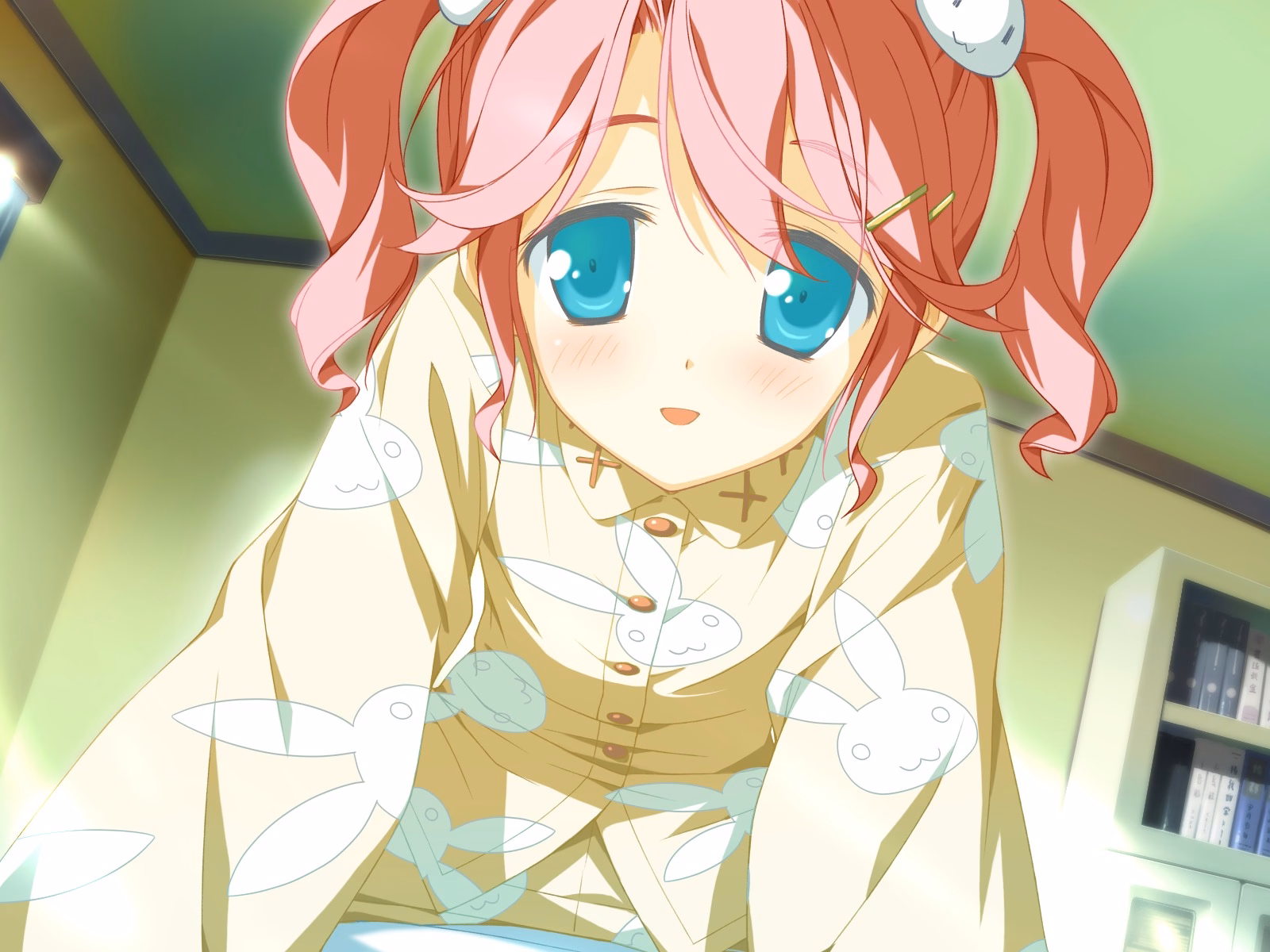 TINAMI_e09a