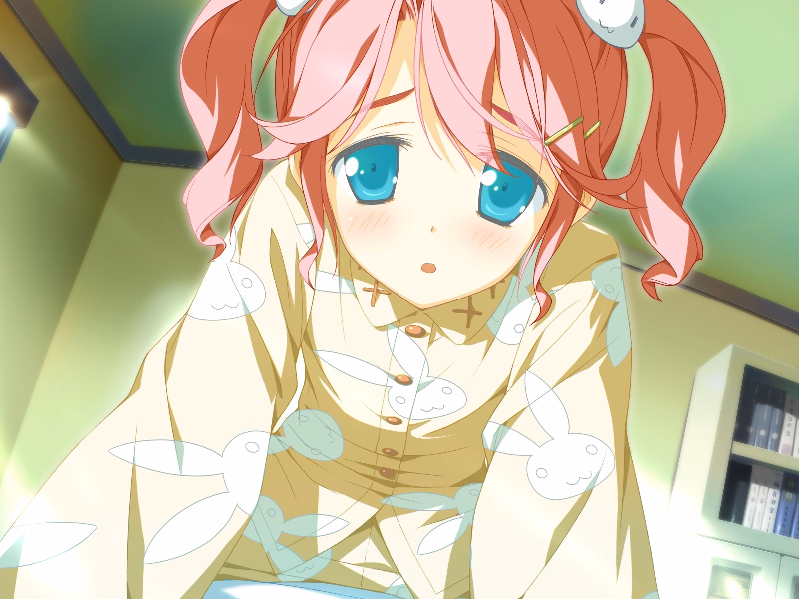 TINAMI_e09b