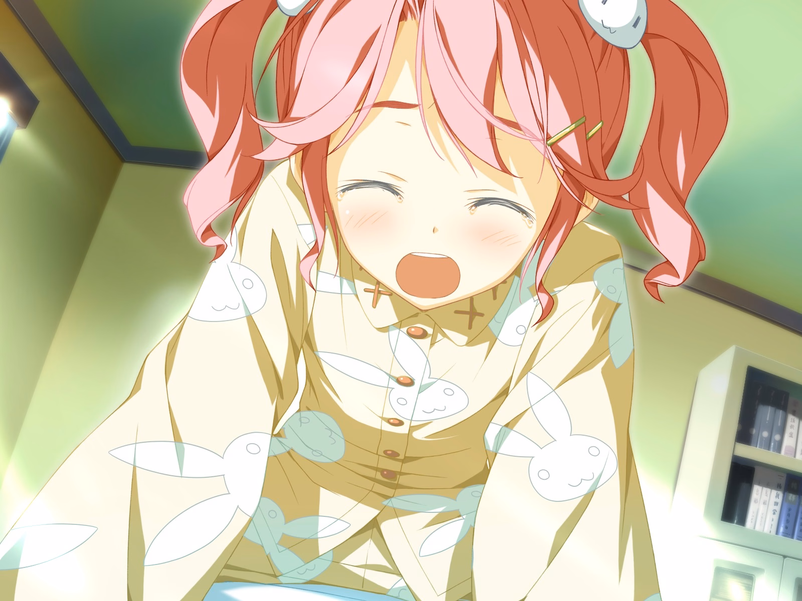 TINAMI_e09c