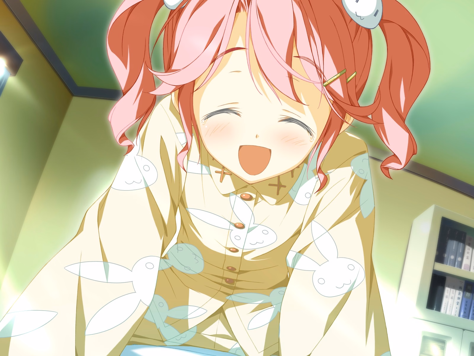 TINAMI_e09e