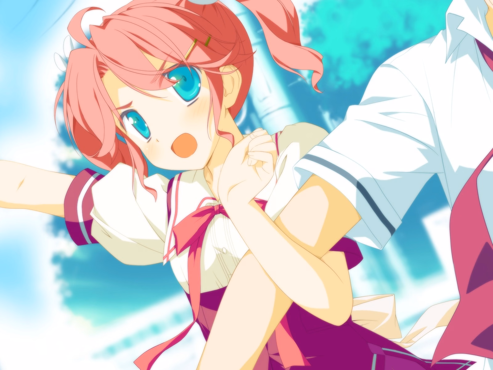 TINAMI_e10b