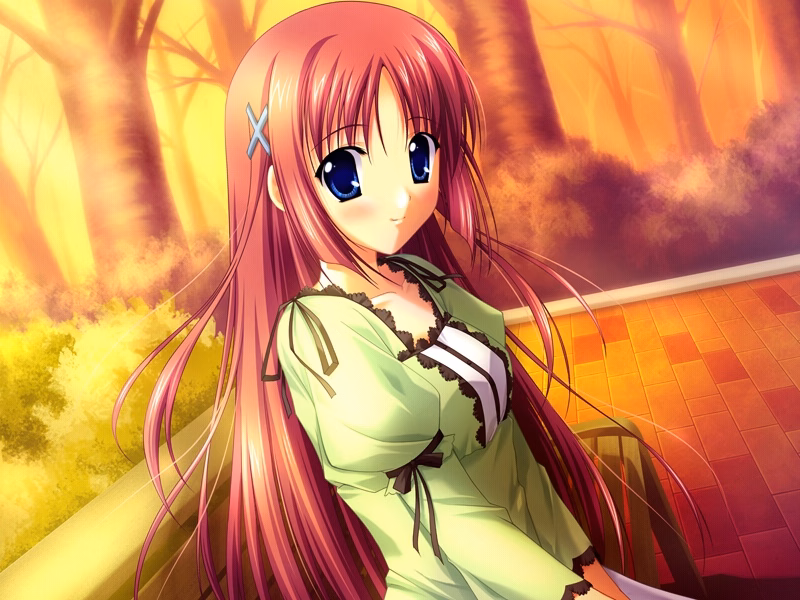 if_ev05_a