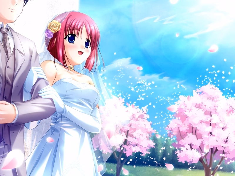 if_ev14_c