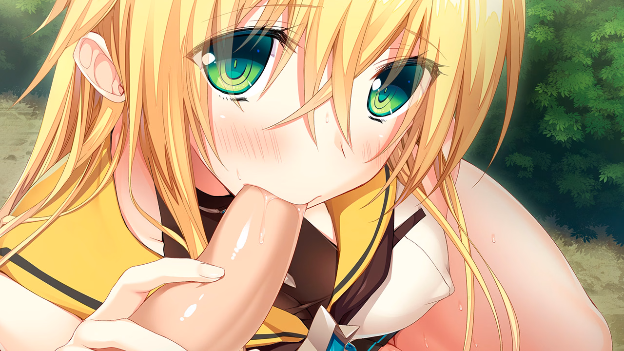 A11_d
