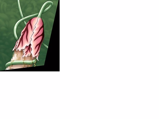 ev_fairy_ct01