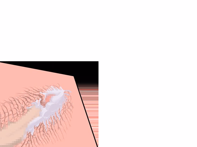 ev_mukade_ct05
