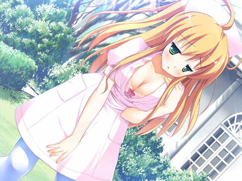 osana029