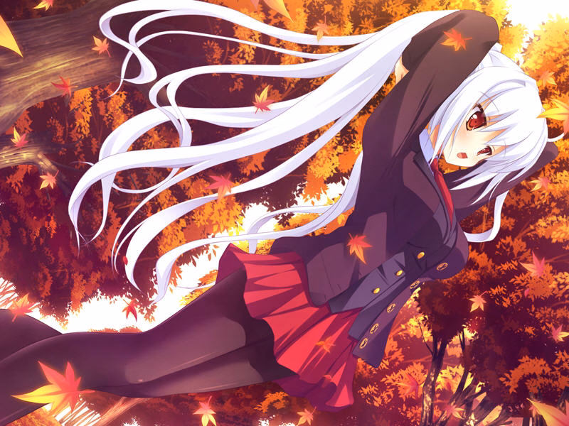 osana131