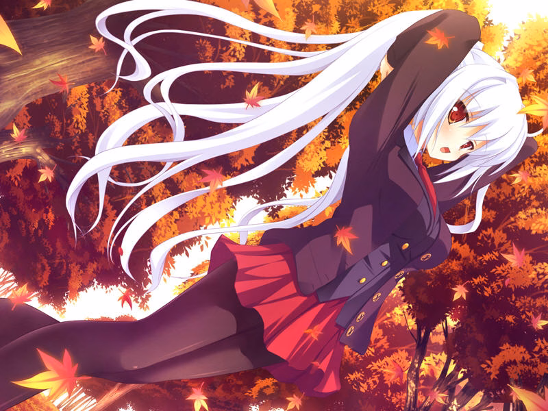 osana132