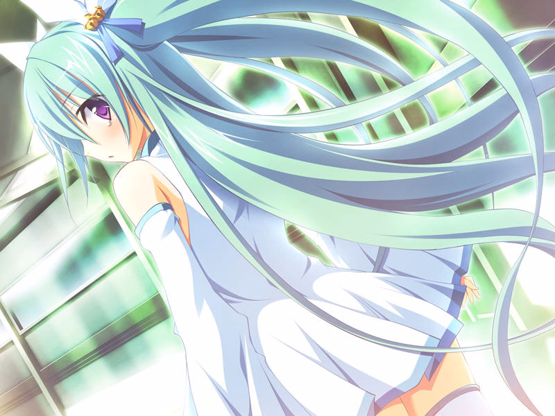 osana245