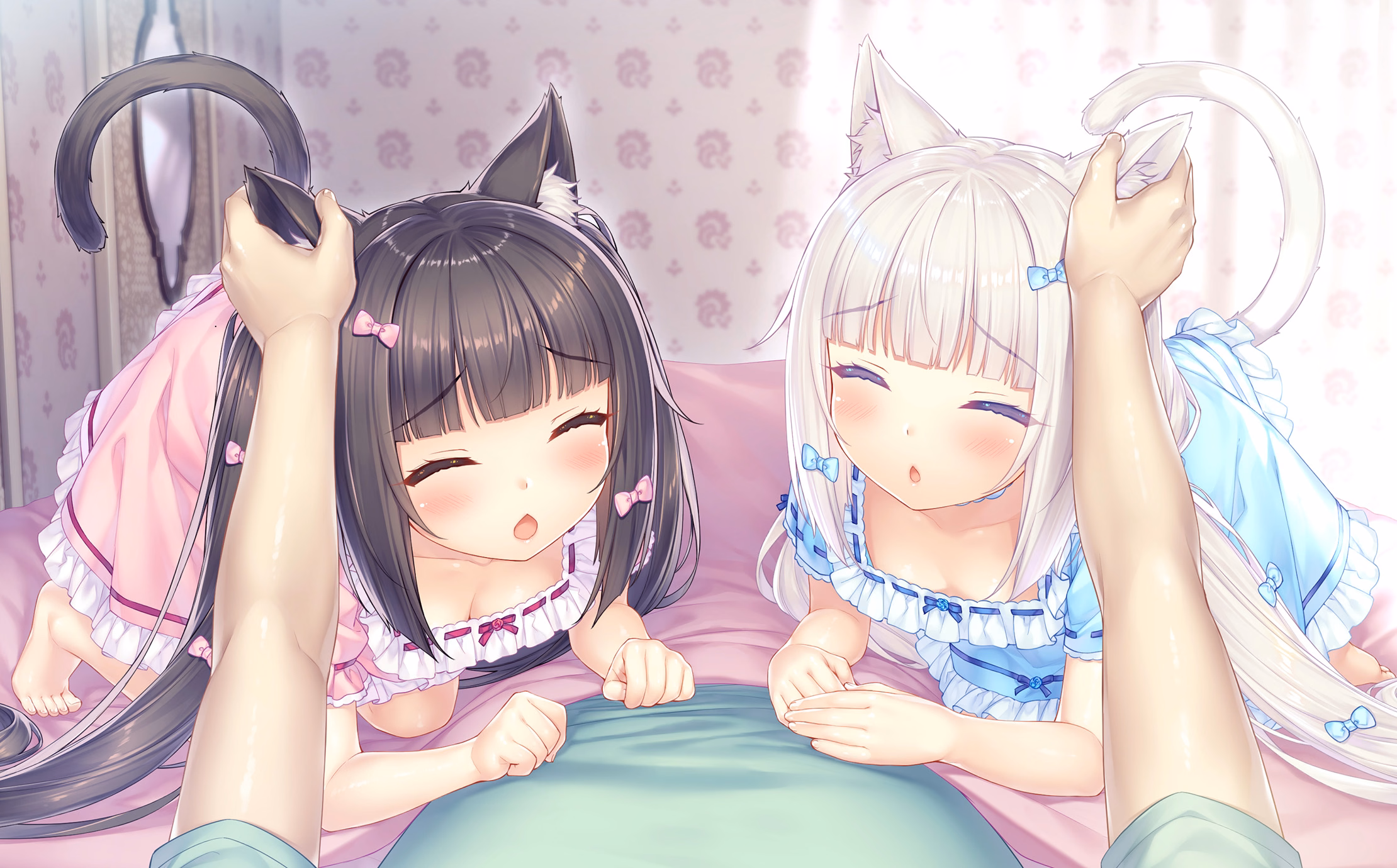 008_neko4_cs01g
