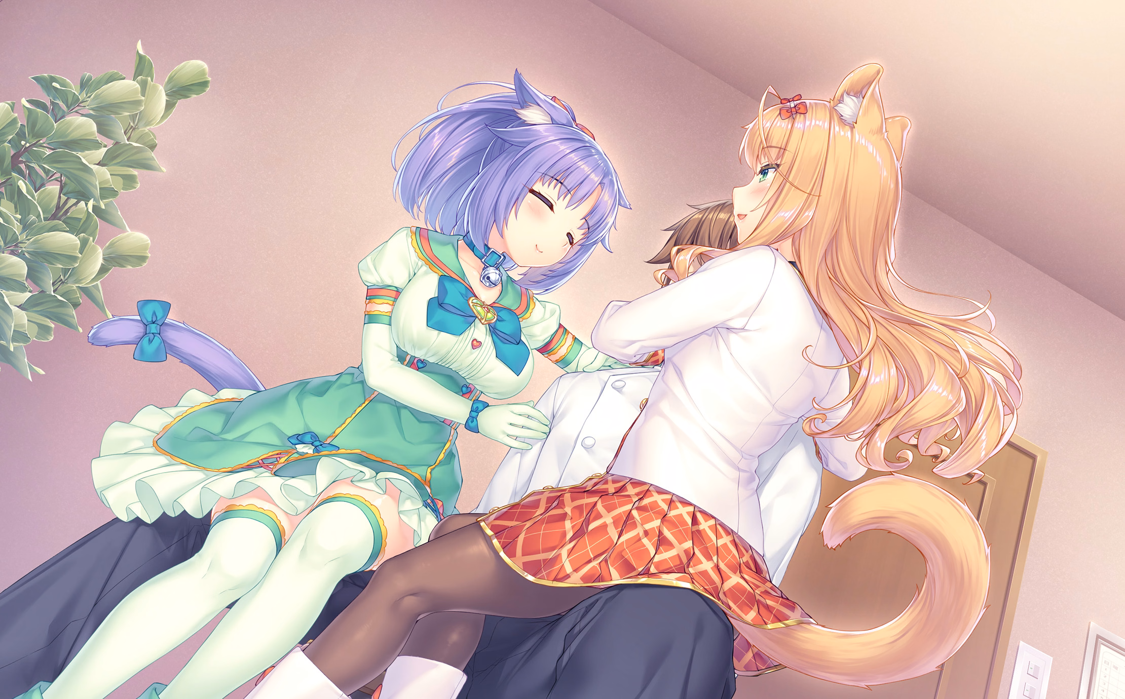 020_neko4_cs03d