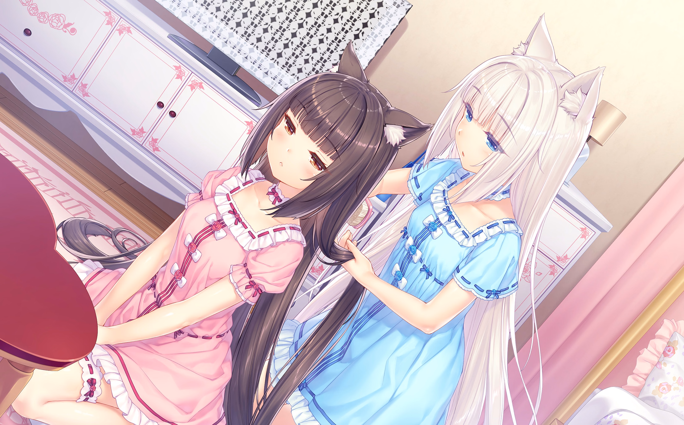 024_neko4_cs04d