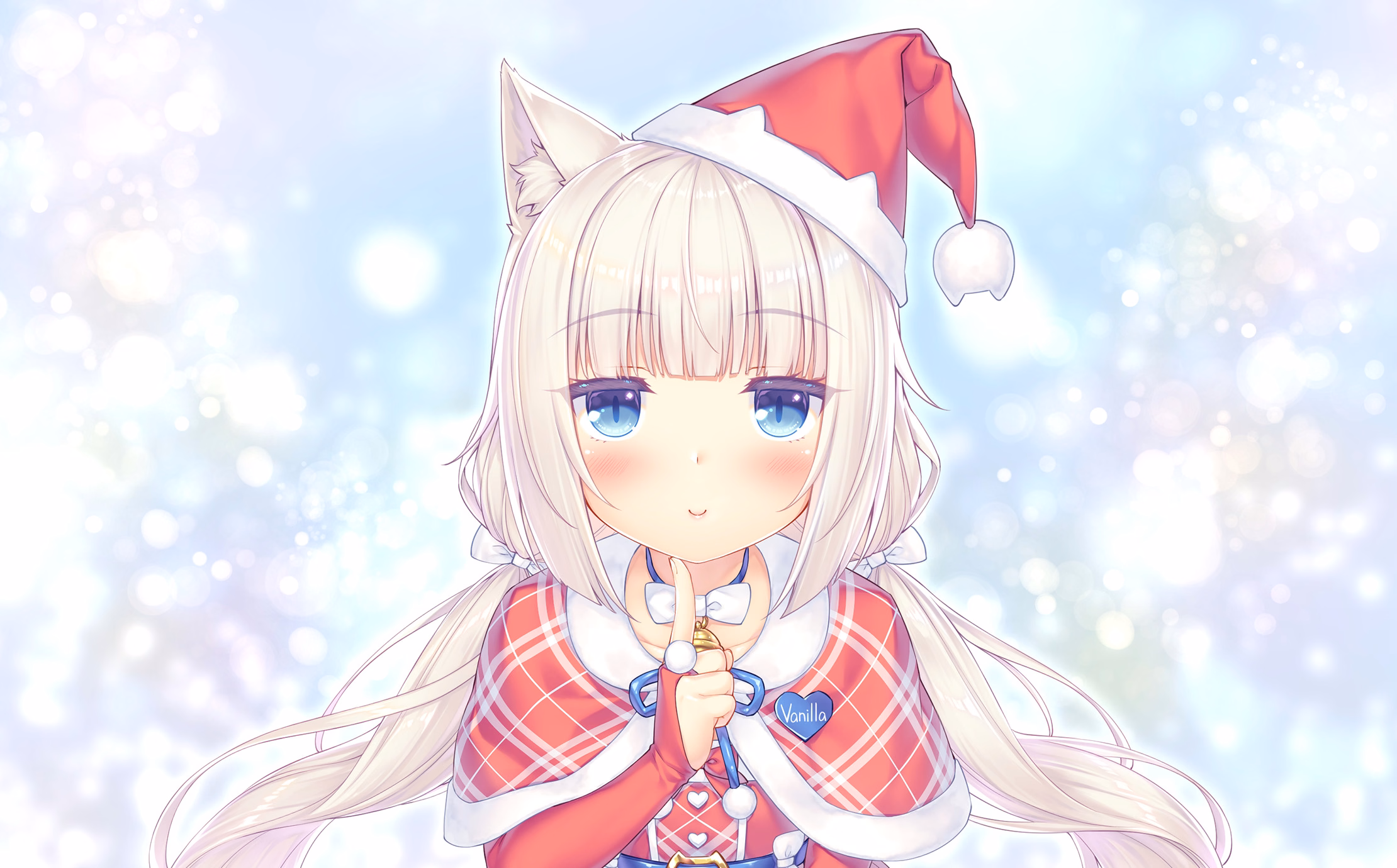 029_neko4_cs05a