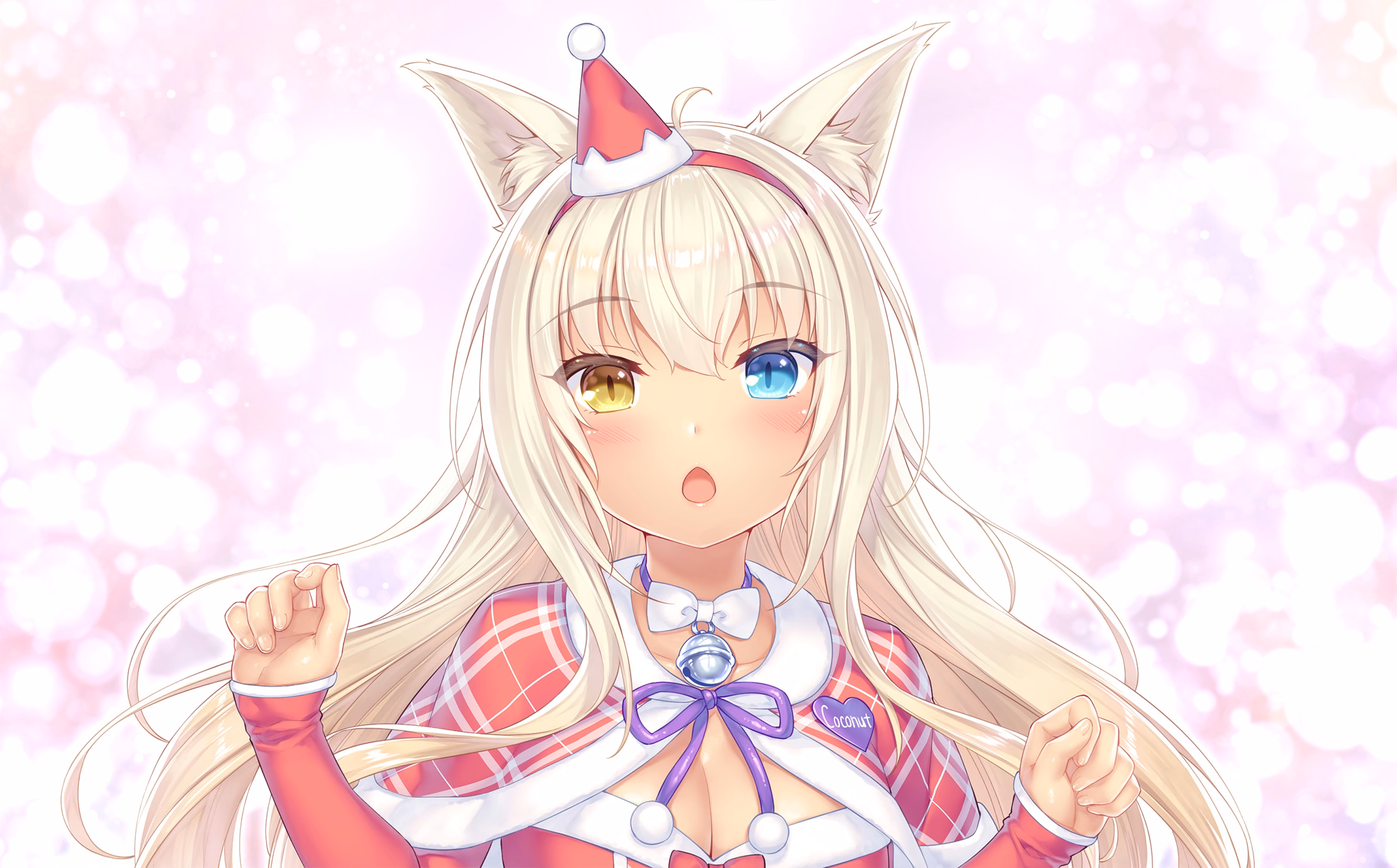 035_neko4_cs05g
