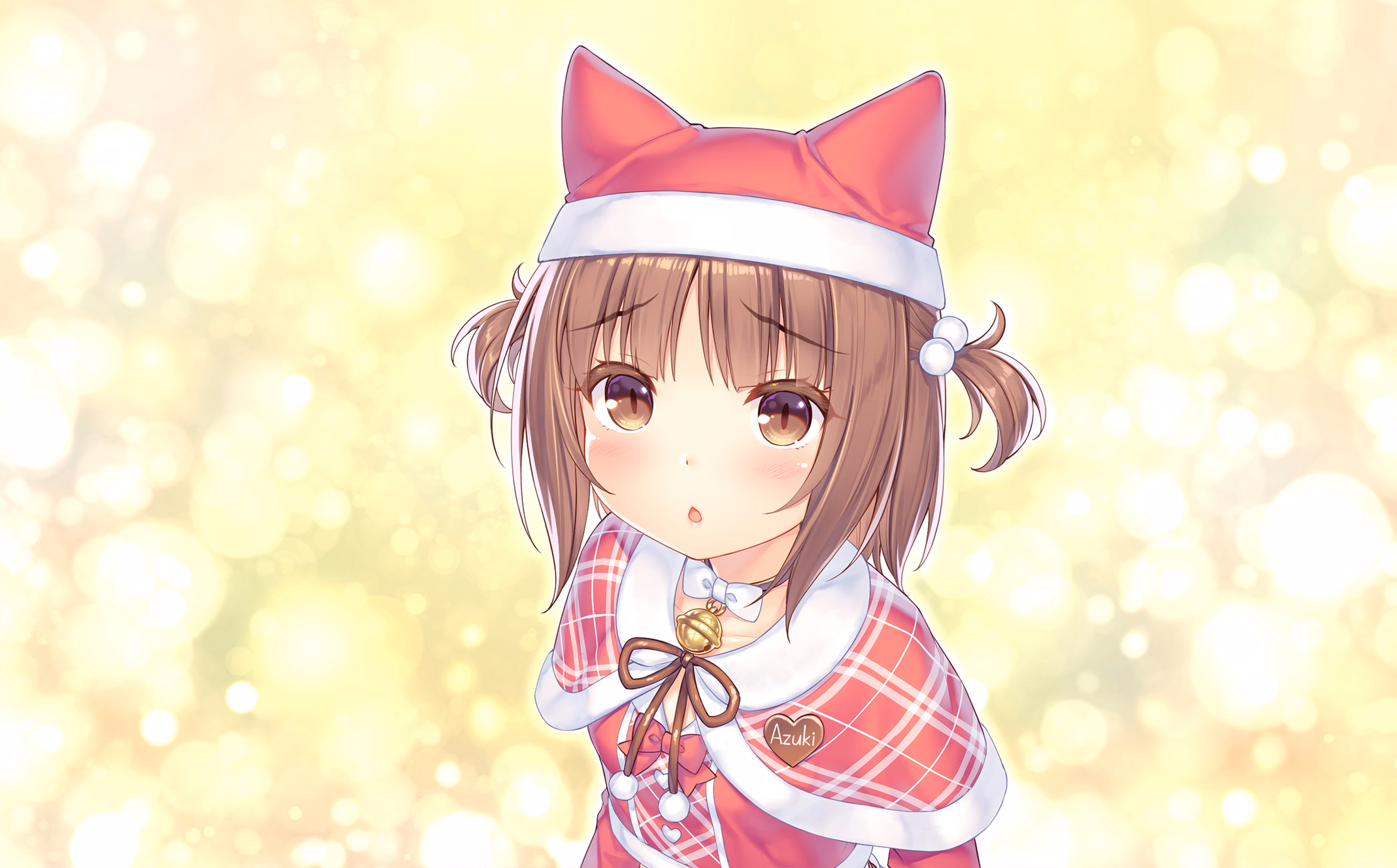 037_neko4_cs05i