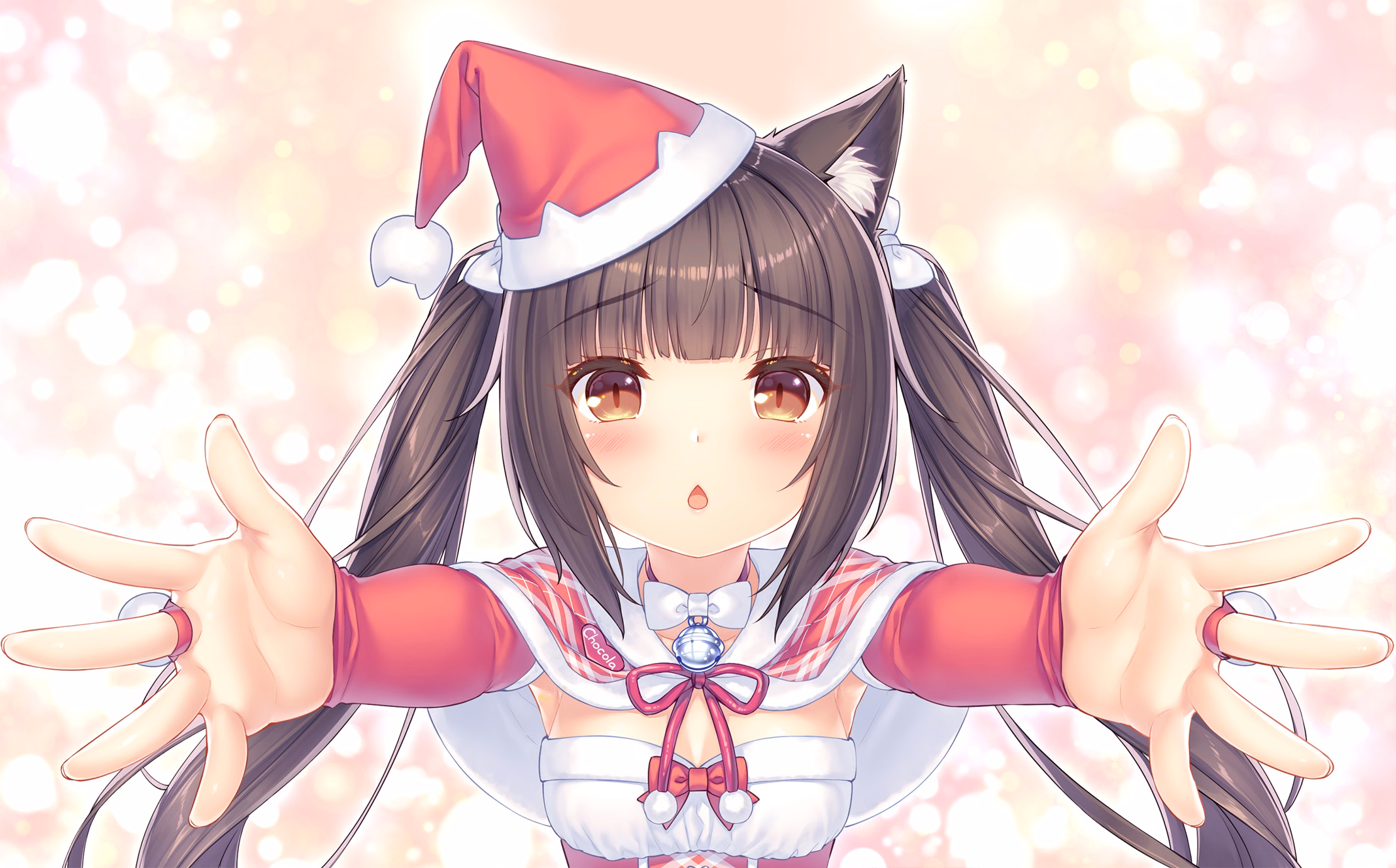 039_neko4_cs05k
