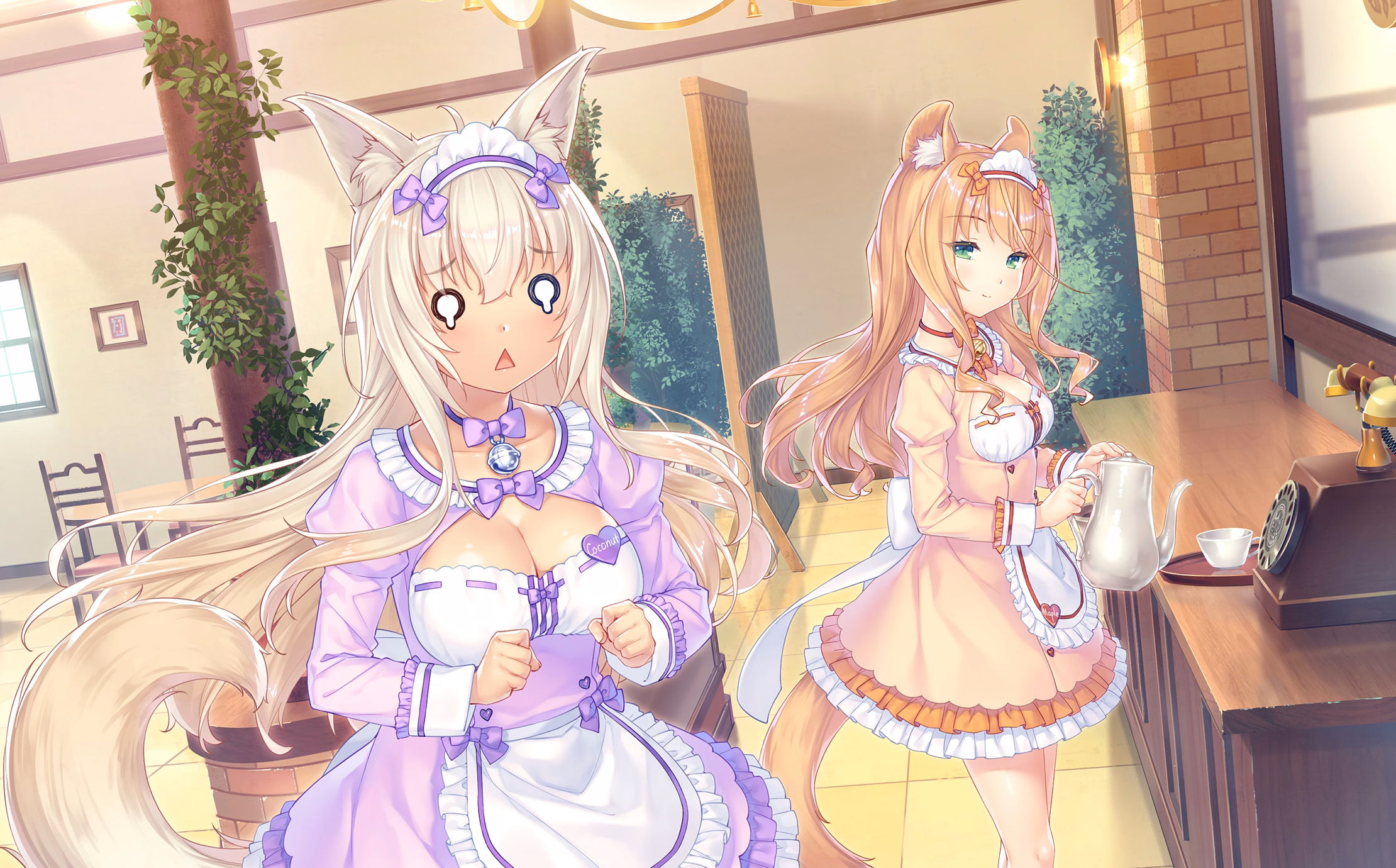 239_neko4_an03b