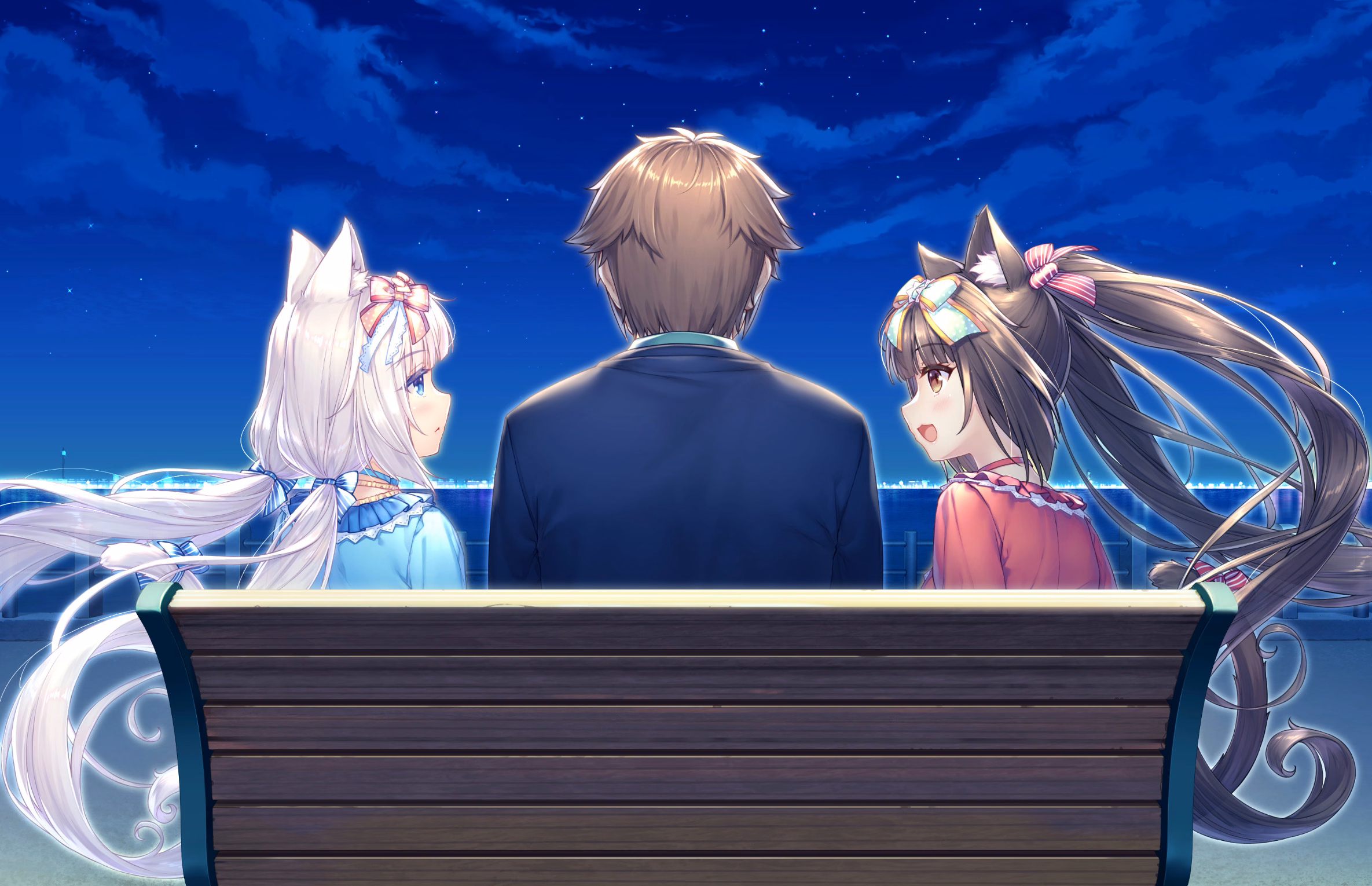 250_neko4_an07c