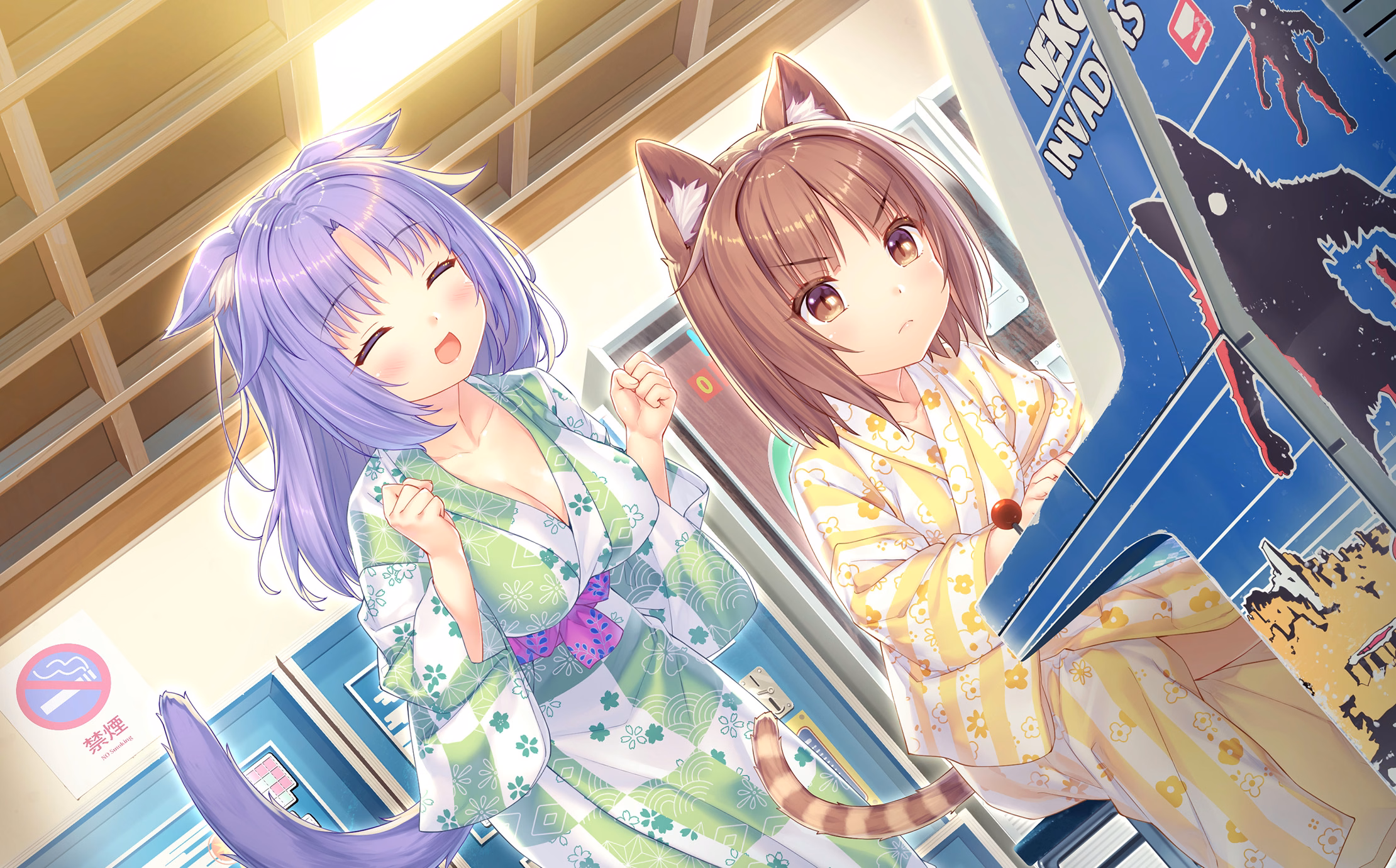 259_neko4_an10b