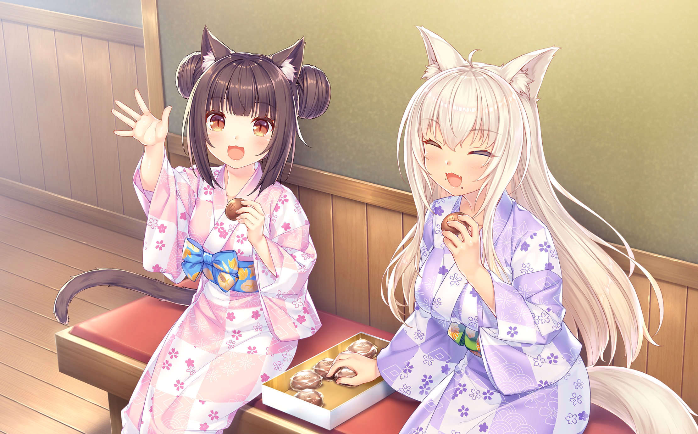 263_neko4_an11a