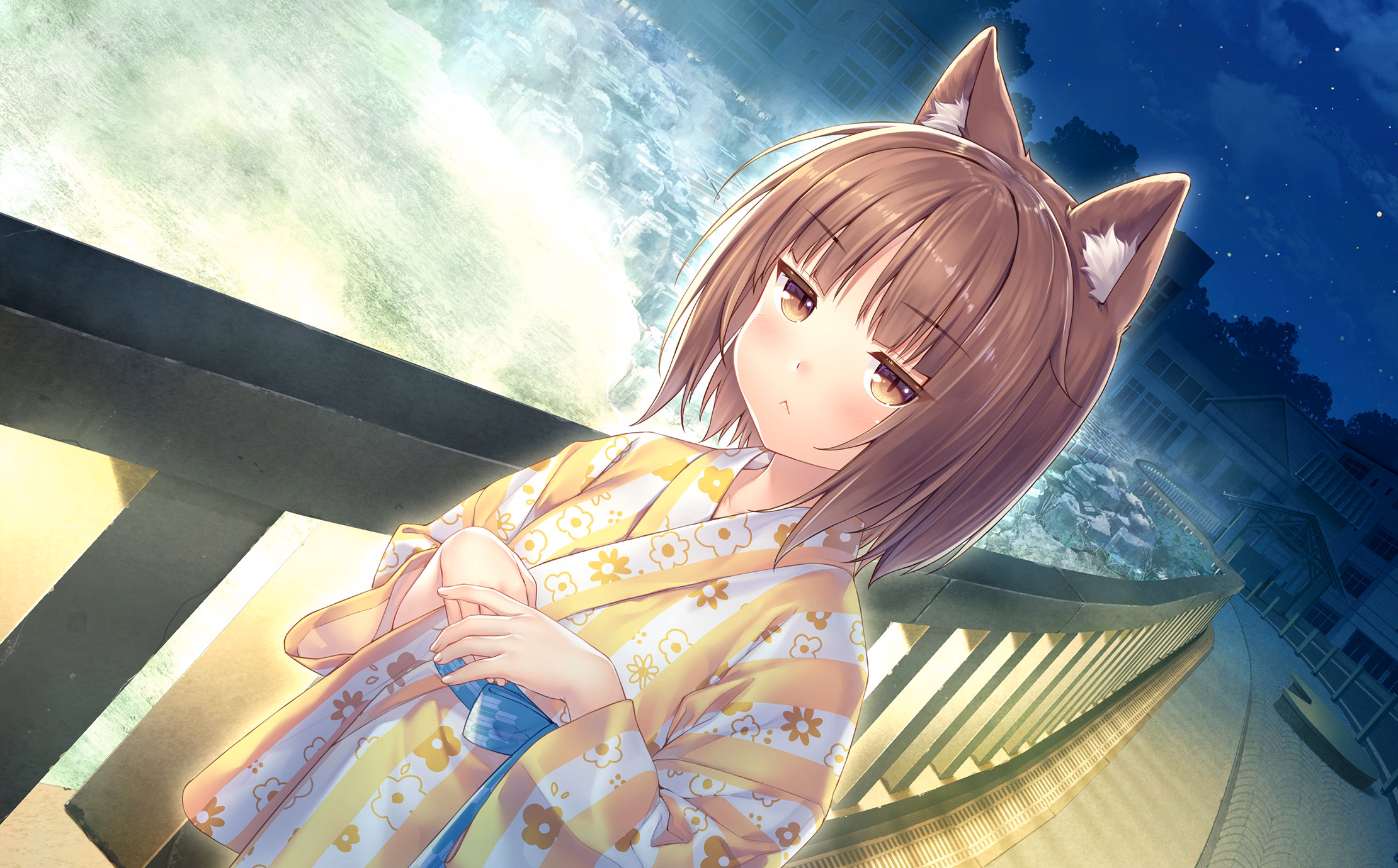 276_neko4_an14c
