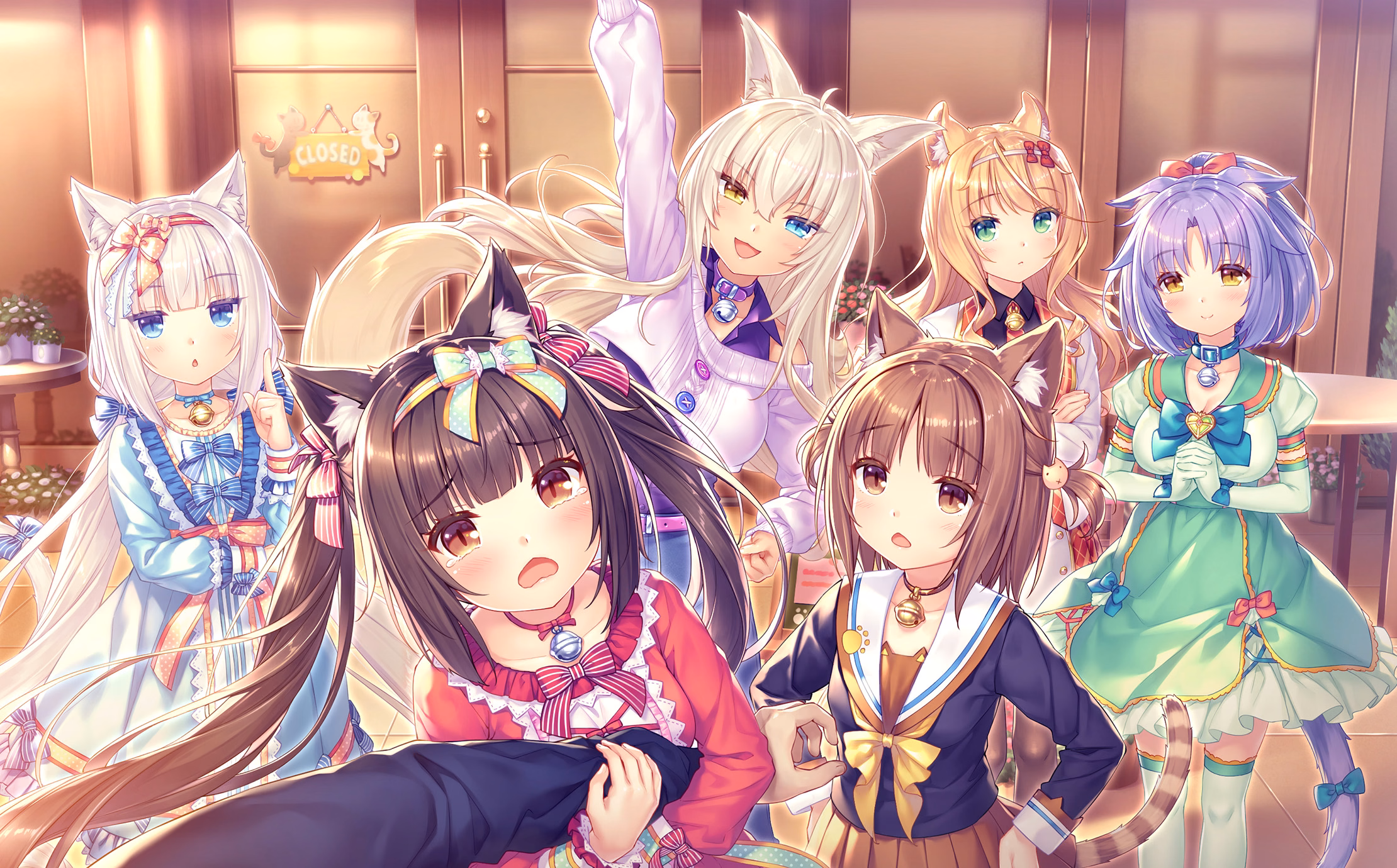 288_neko4_an20a