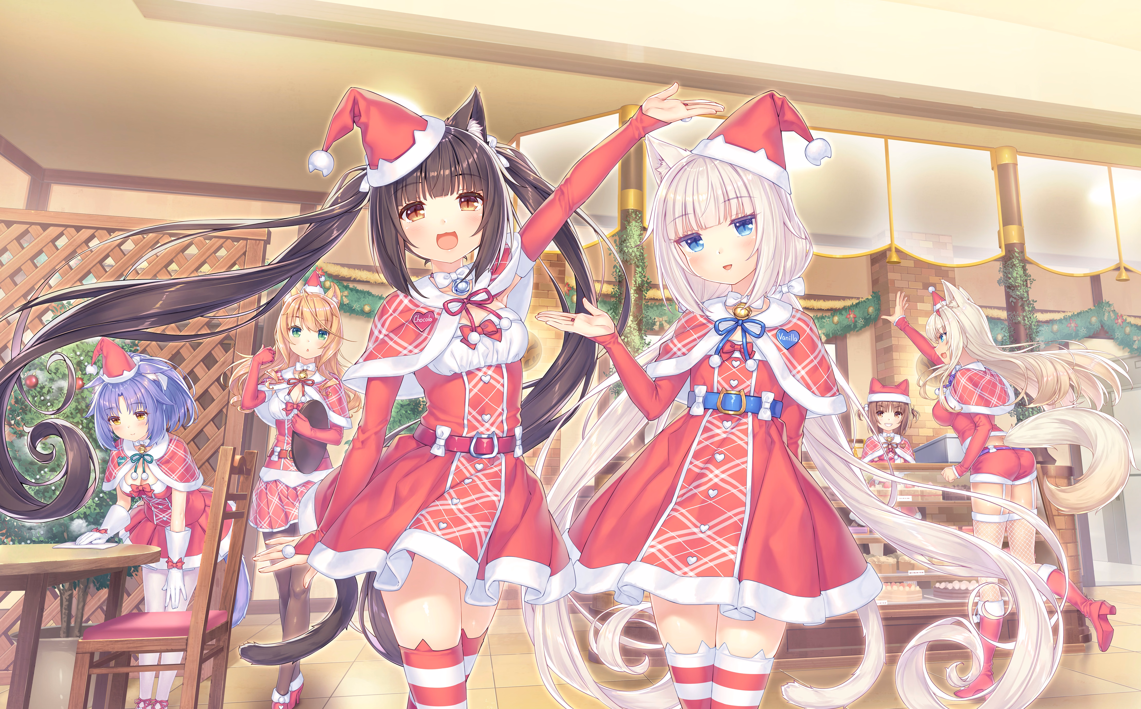 321_neko4_an33b