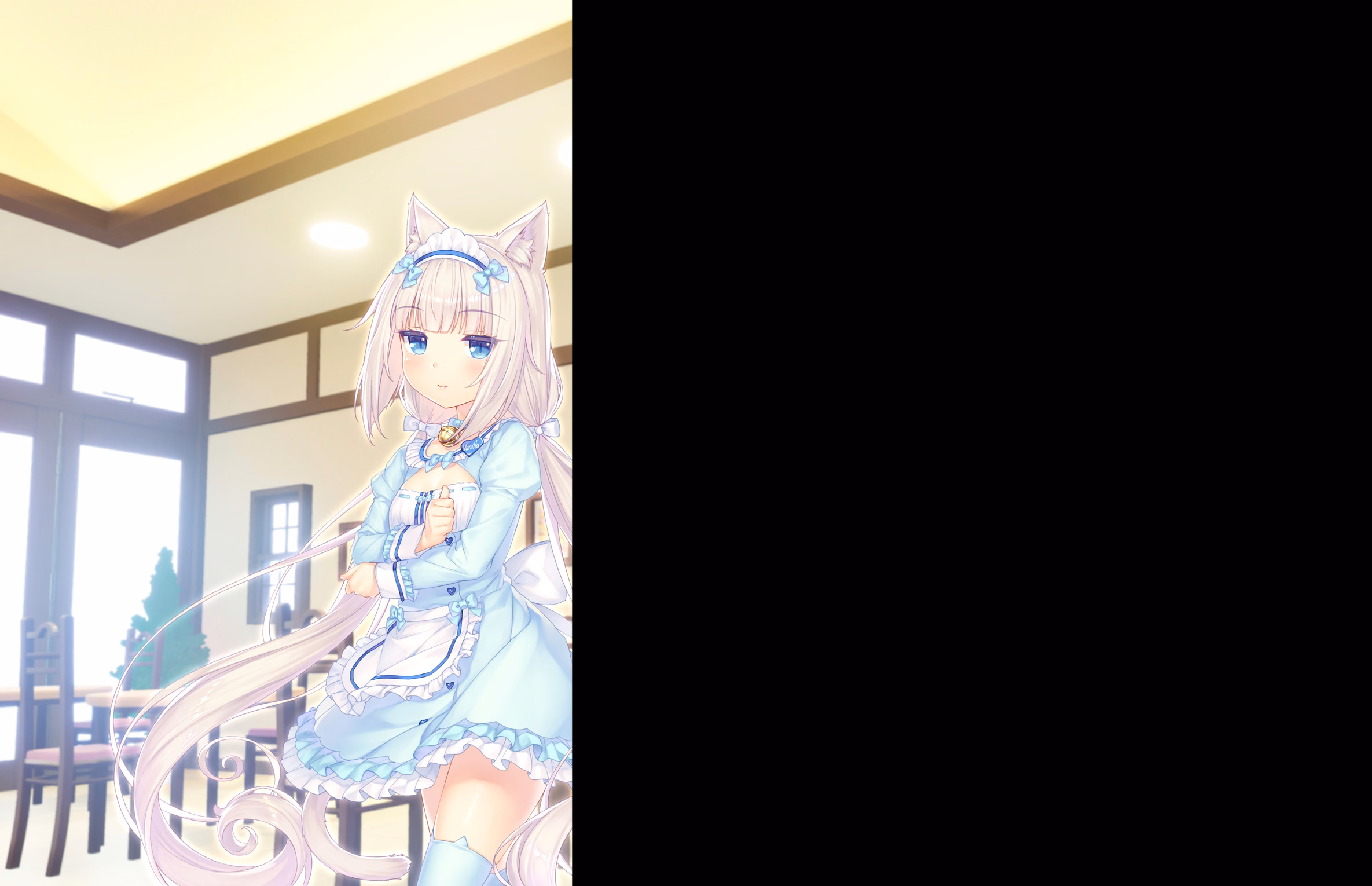 337_neko4_an38c5