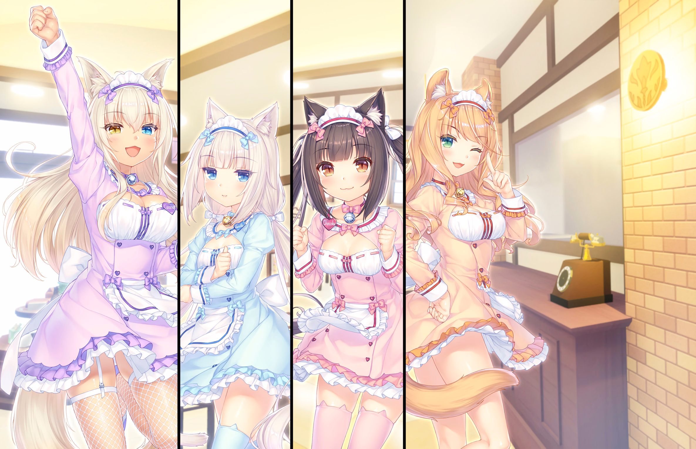 338_neko4_an38d