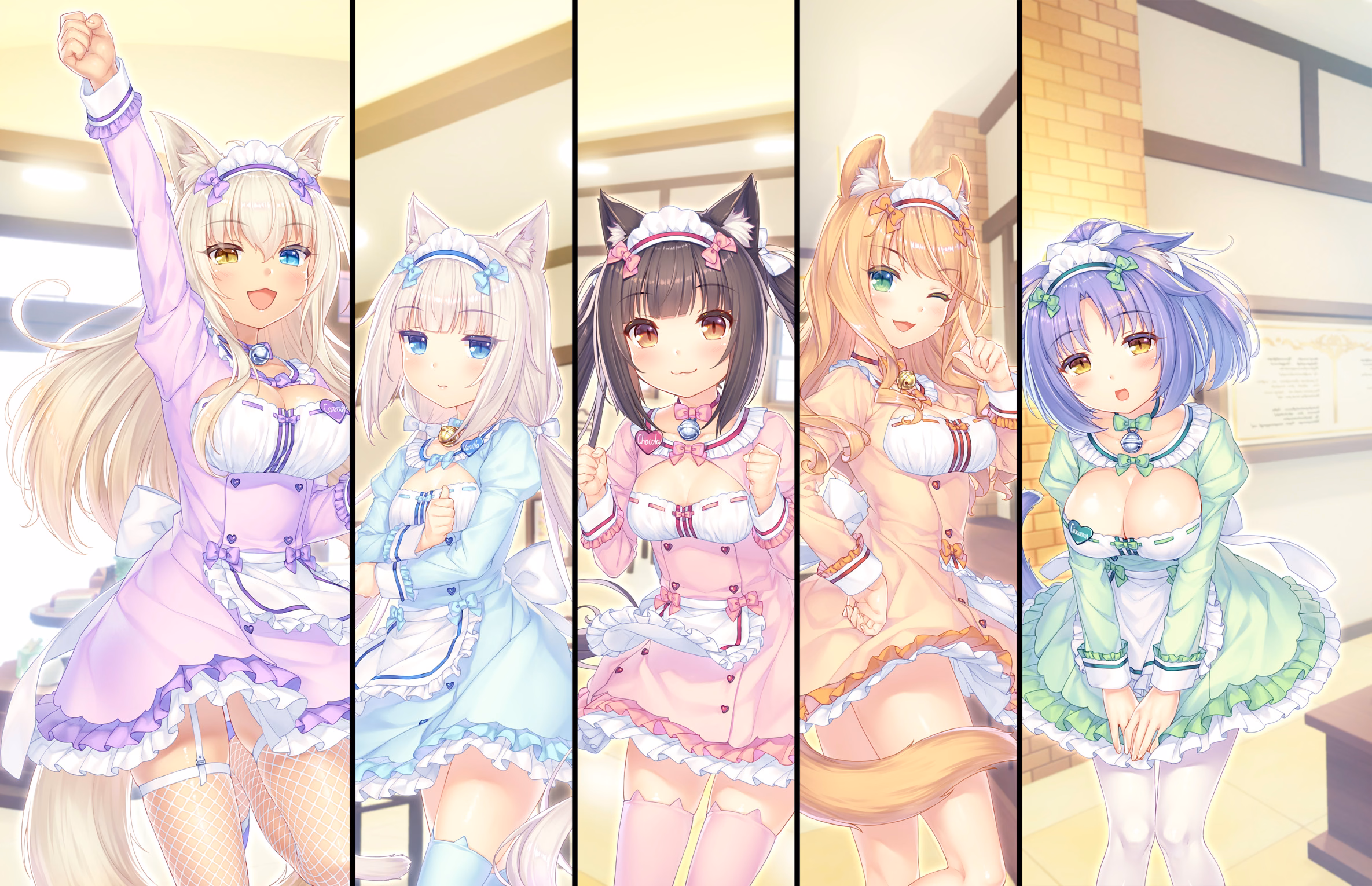 339_neko4_an38e