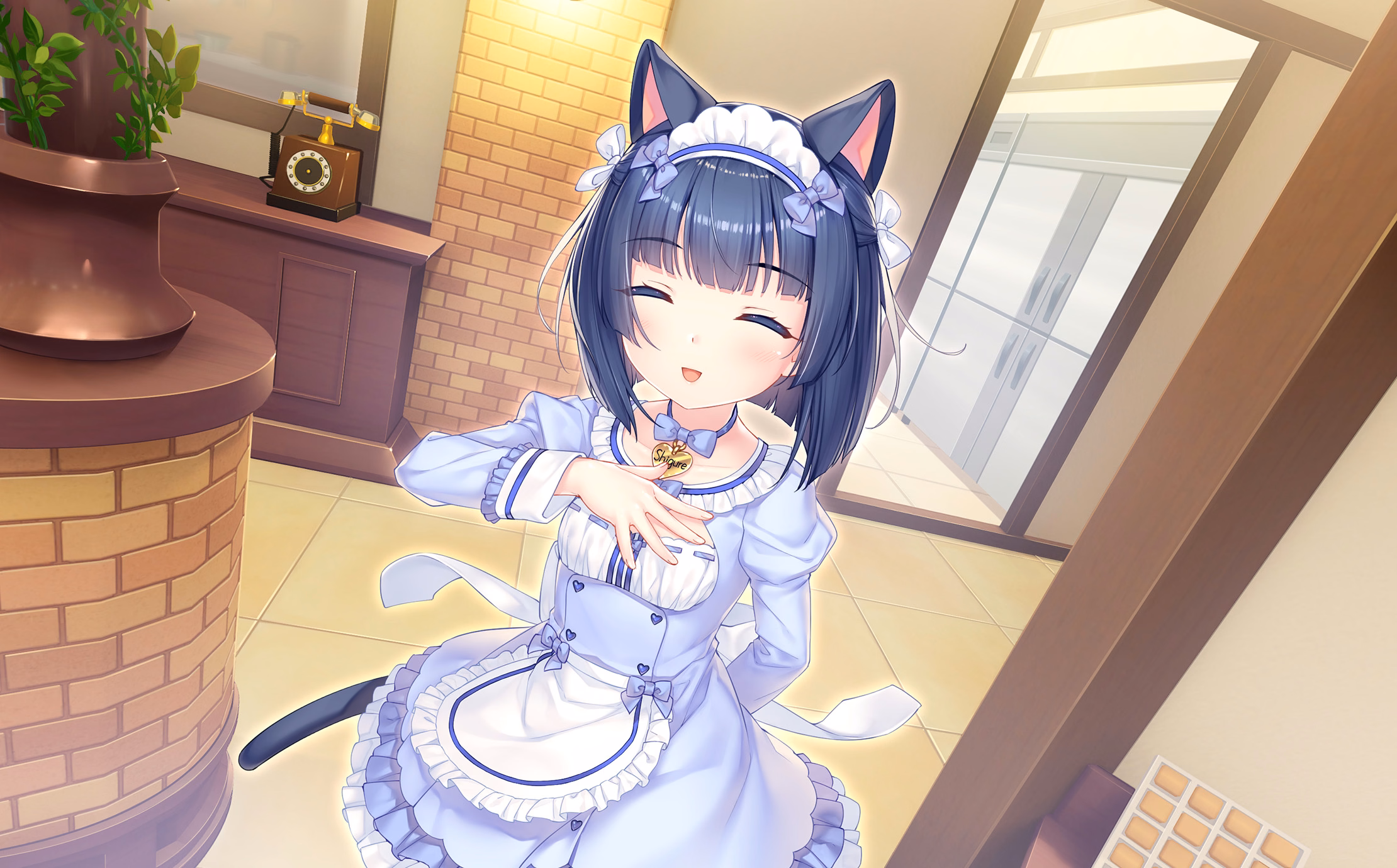 343_neko4_an39c