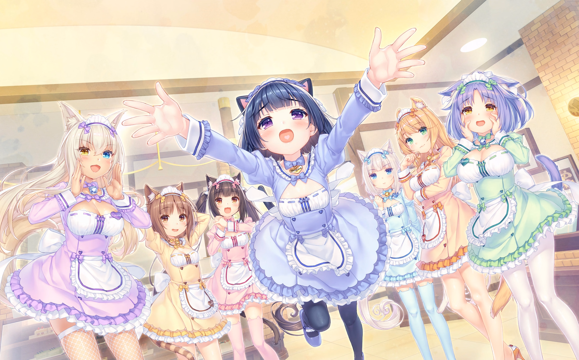 344_neko4_an40a