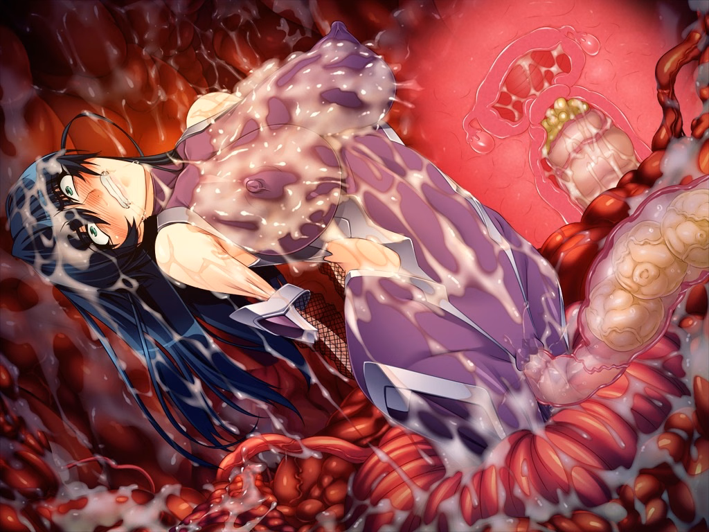 ev056b