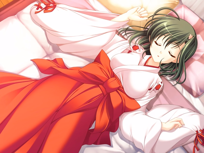 ev_iroha_10a