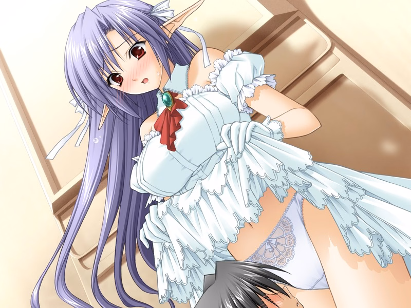 vgai_02b