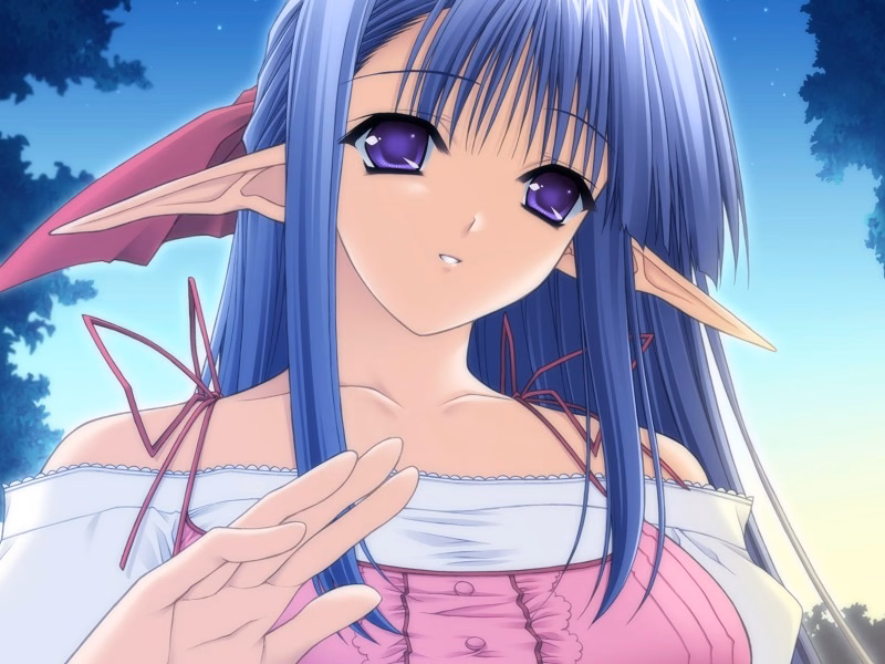 vgri_01a